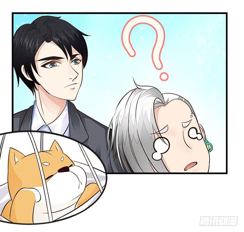 《单身少女单身狗》35·保护小狗！ 第10页
