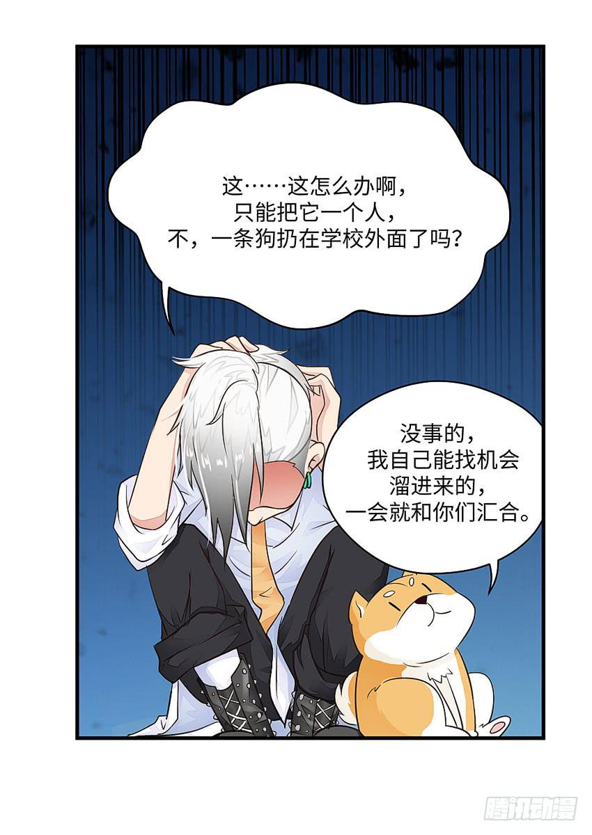 《单身少女单身狗》35·保护小狗！ 第14页