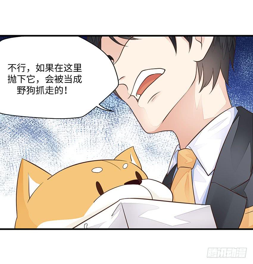 《单身少女单身狗》35·保护小狗！ 第17页