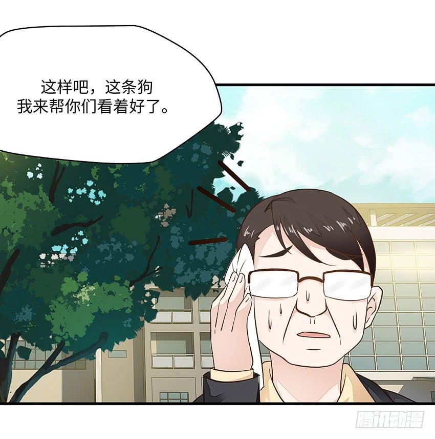 《单身少女单身狗》35·保护小狗！ 第22页