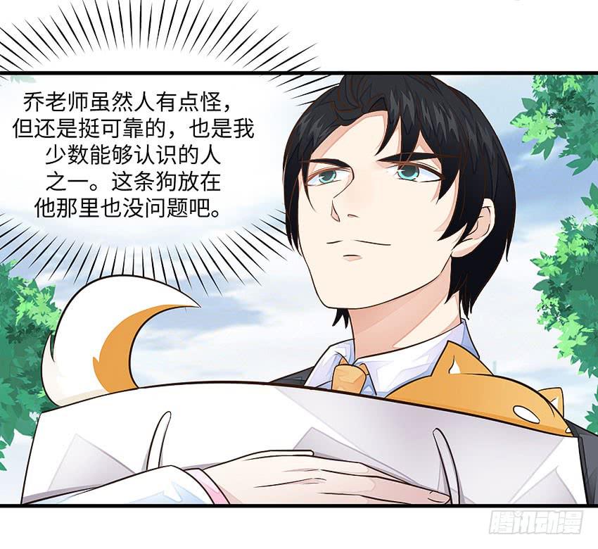 《单身少女单身狗》35·保护小狗！ 第26页