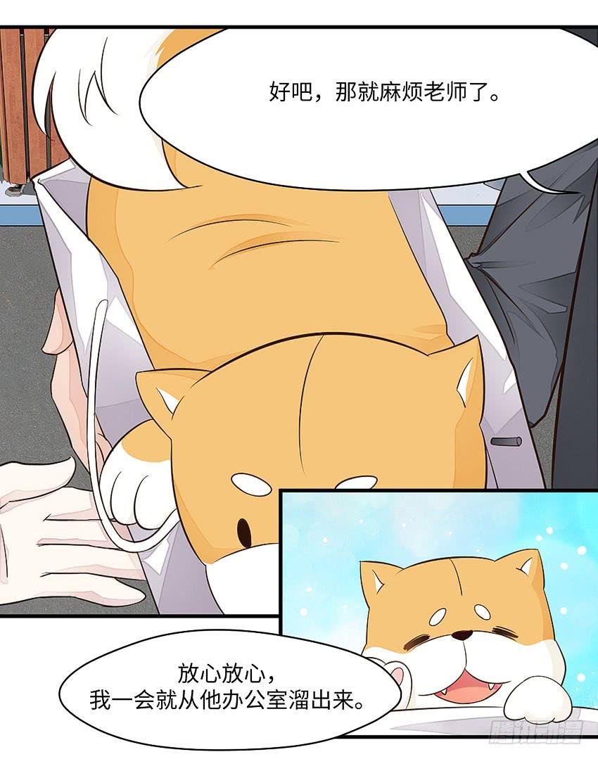《单身少女单身狗》35·保护小狗！ 第27页