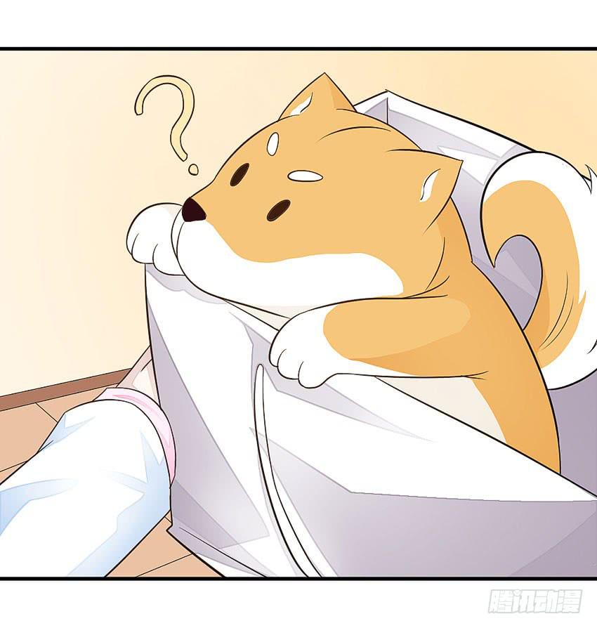 《单身少女单身狗》35·保护小狗！ 第33页