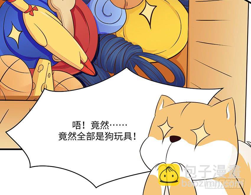 《单身少女单身狗》35·保护小狗！ 第35页