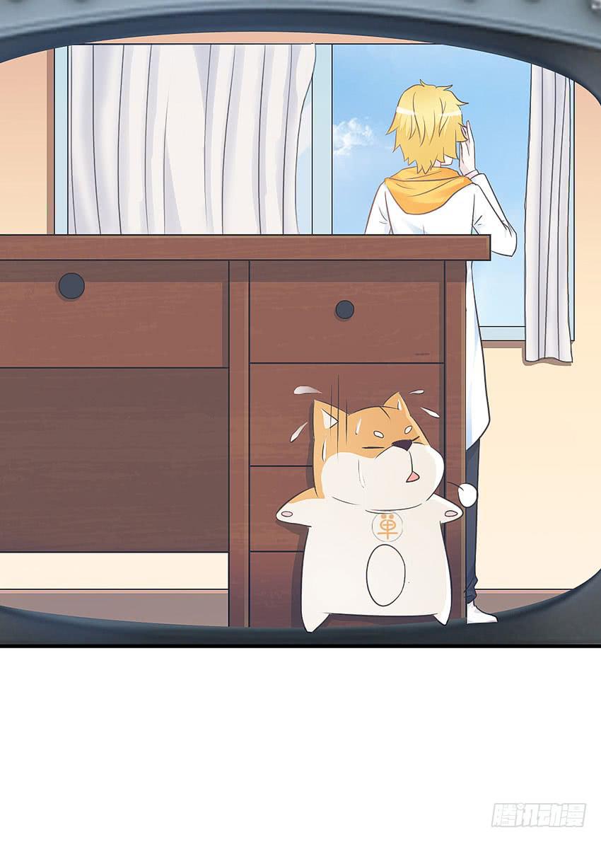 《单身少女单身狗》38·遛狗记得牵狗绳 第24页