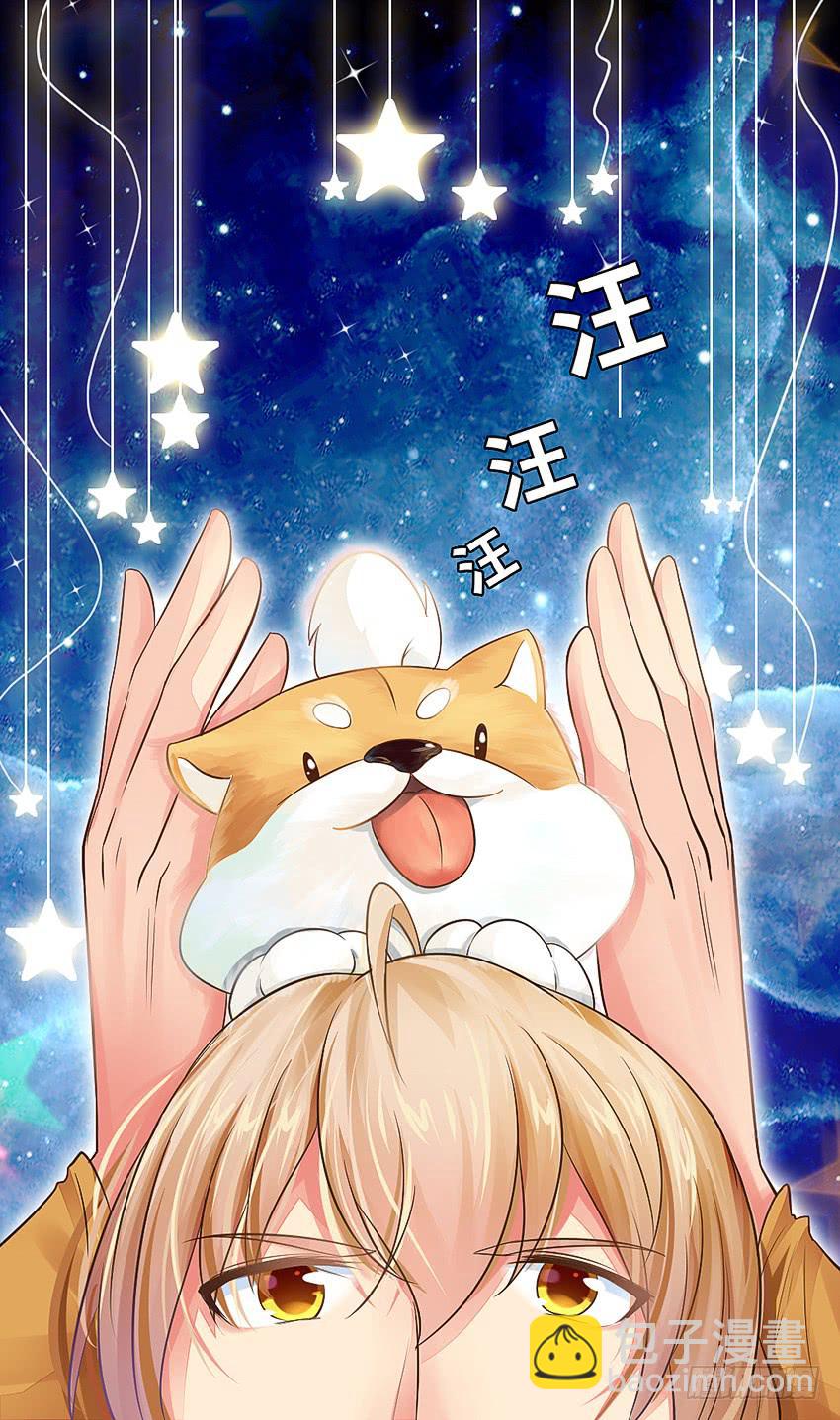 《单身少女单身狗》38·遛狗记得牵狗绳 第2页