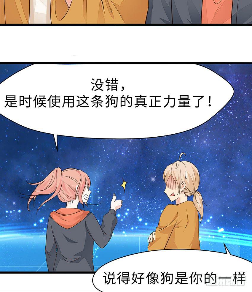 《单身少女单身狗》38·遛狗记得牵狗绳 第40页