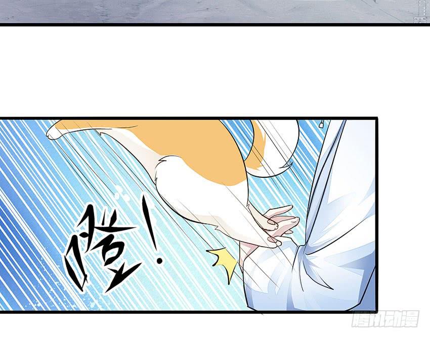 《单身少女单身狗》38·遛狗记得牵狗绳 第46页