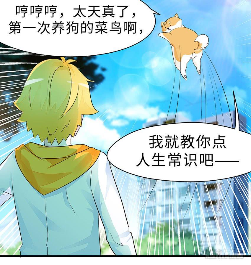 《单身少女单身狗》38·遛狗记得牵狗绳 第48页