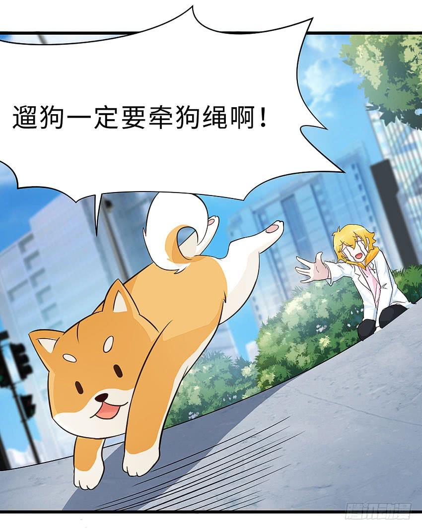 《单身少女单身狗》38·遛狗记得牵狗绳 第49页