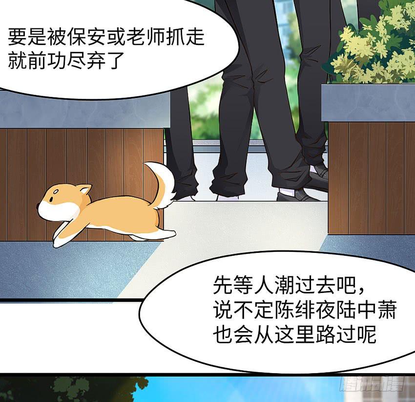 《单身少女单身狗》39·不要随便摸女孩子的头 第31页