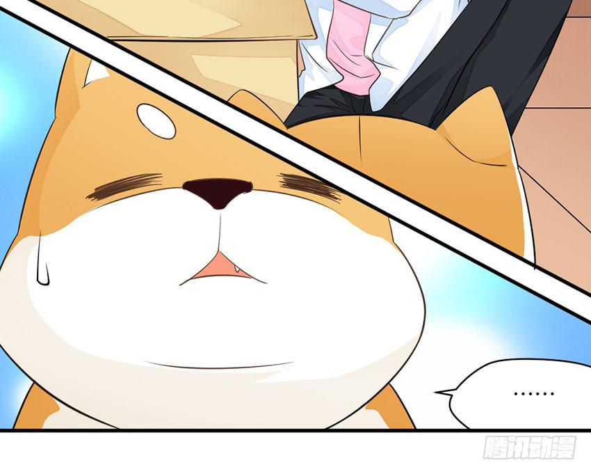 《单身少女单身狗》36·一个愿打一个愿挨 第20页