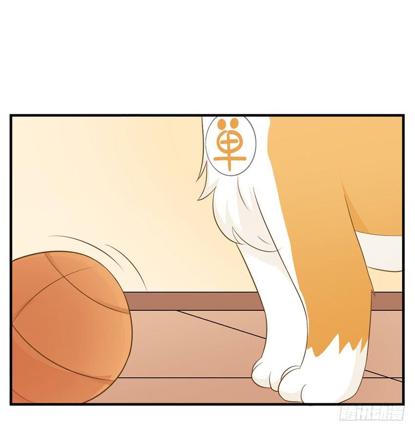 《单身少女单身狗》36·一个愿打一个愿挨 第23页