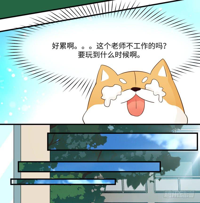 《单身少女单身狗》36·一个愿打一个愿挨 第32页