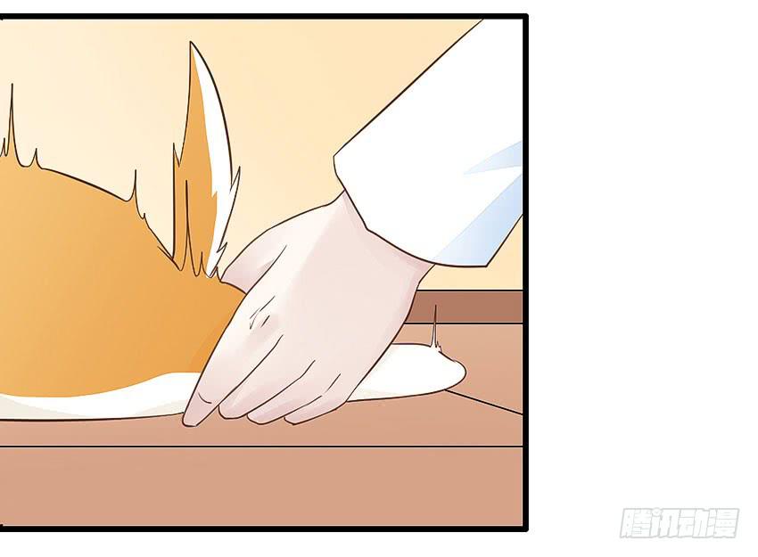 《单身少女单身狗》37·他...不认识我 第40页