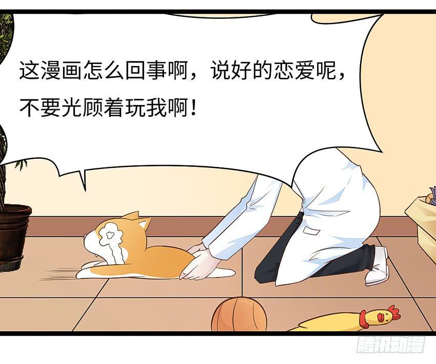 《单身少女单身狗》37·他...不认识我 第41页