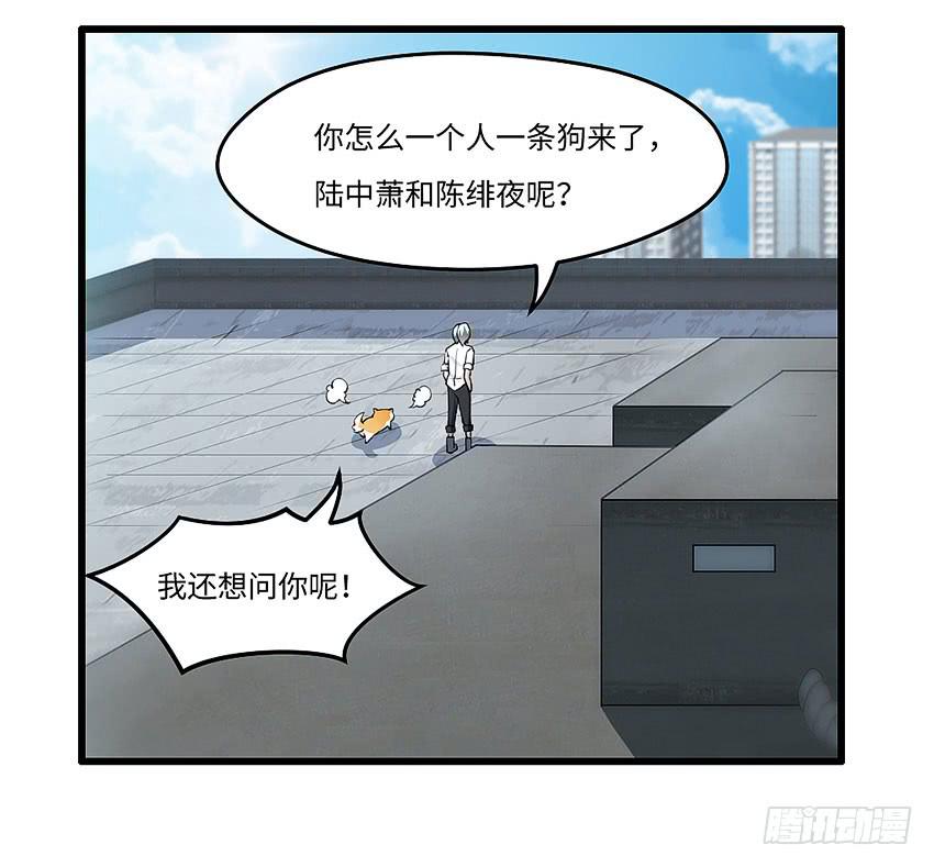 《单身少女单身狗》42·他不在天台的第一天 第25页