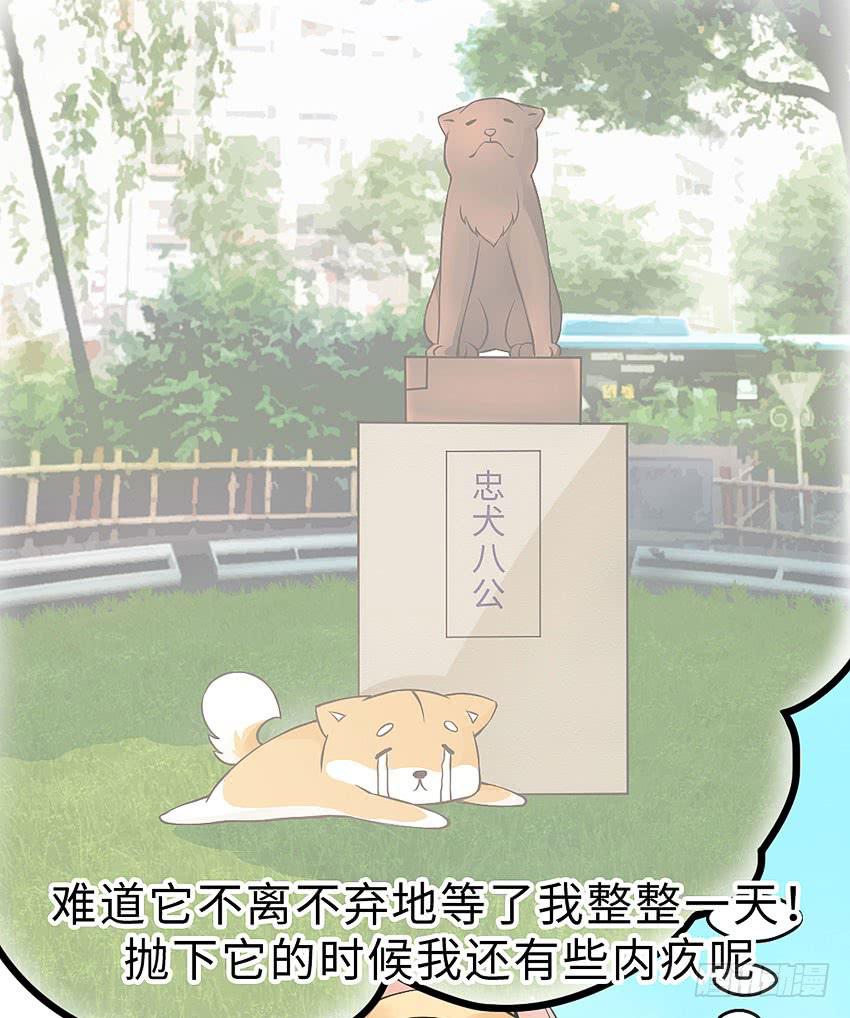 《单身少女单身狗》41·狗呢？！ 第11页