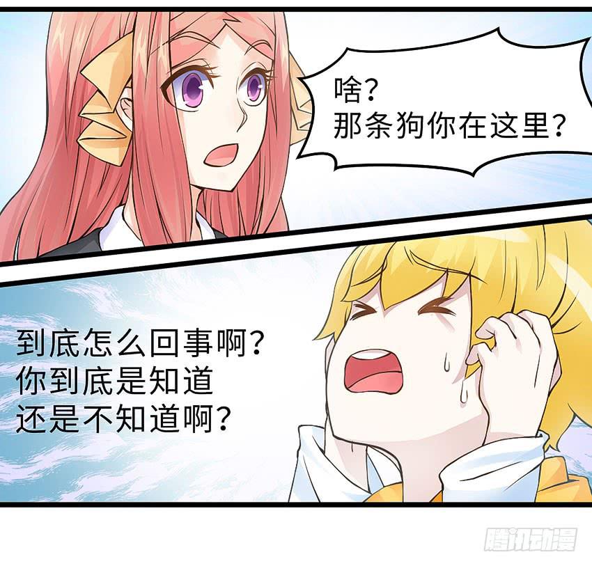 《单身少女单身狗》41·狗呢？！ 第16页