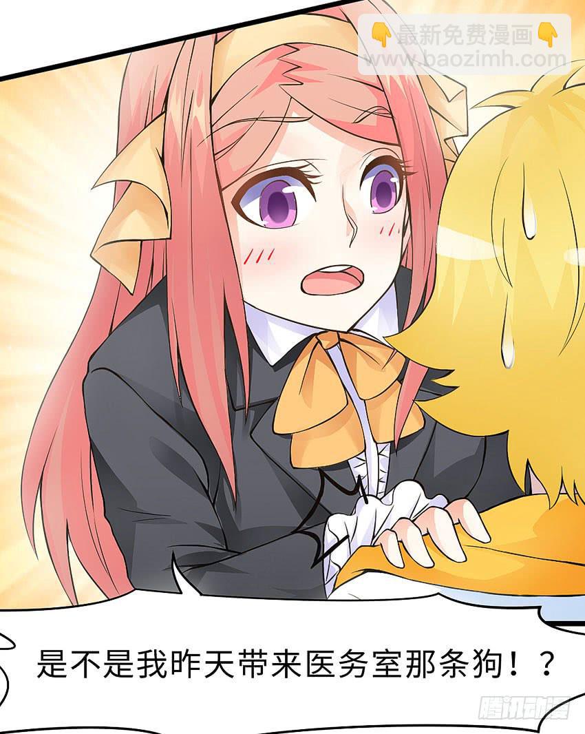 《单身少女单身狗》41·狗呢？！ 第9页