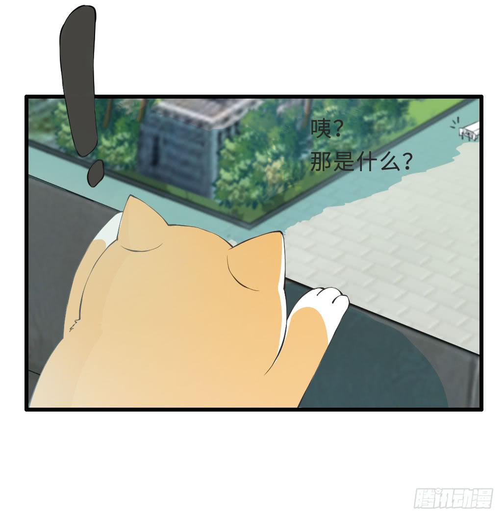 《单身少女单身狗》44·人格分裂？ 第29页