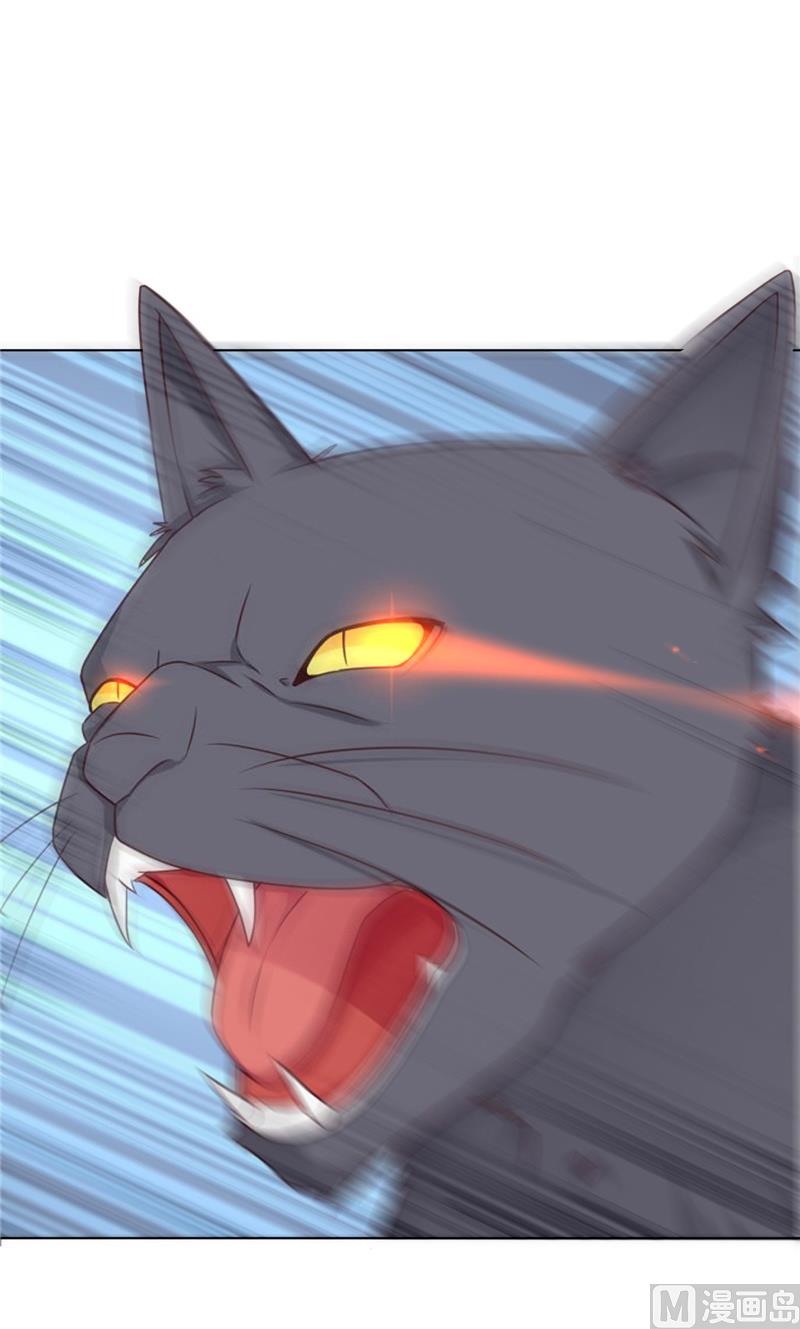 《论召唤恶魔大人的可能性》第29话 猫 第14页