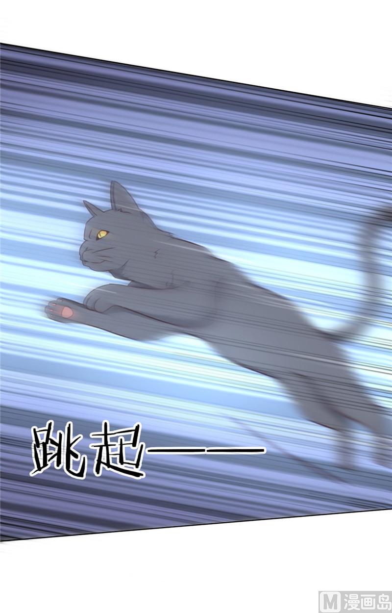 《论召唤恶魔大人的可能性》第29话 猫 第19页