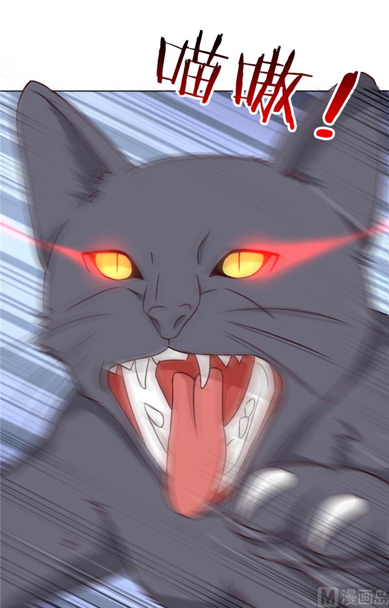 《论召唤恶魔大人的可能性》第29话 猫 第20页