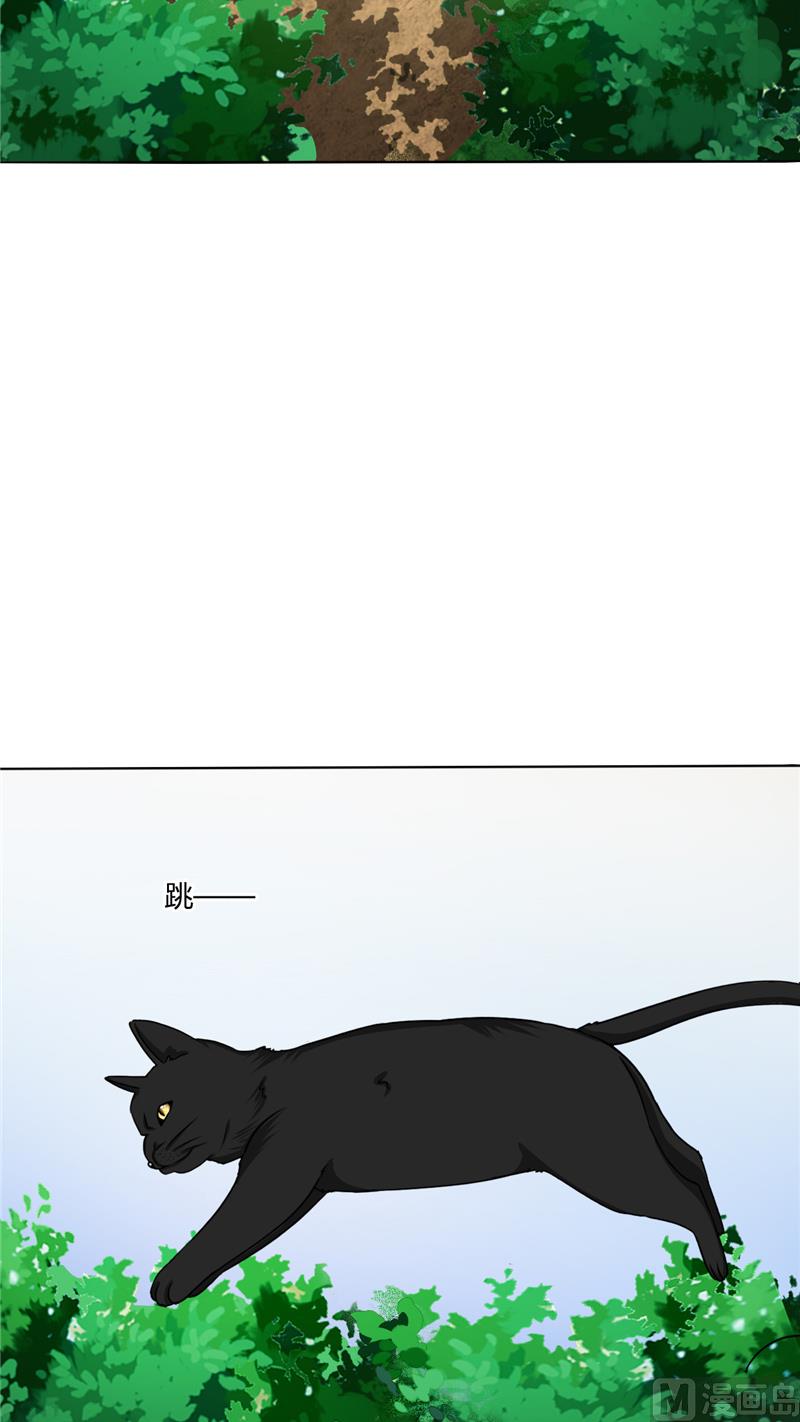 《论召唤恶魔大人的可能性》第37话 又见黑猫 第40页