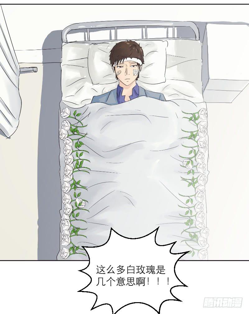《织梦人》爱情童话（1） 第13页