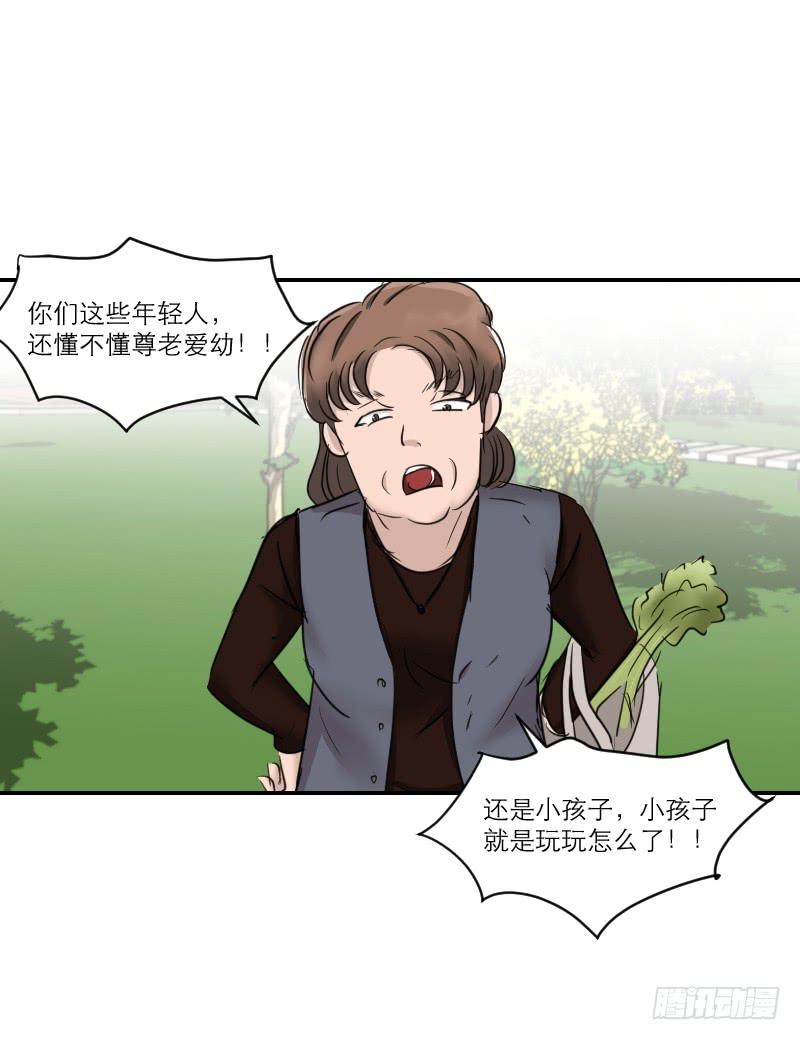 《织梦人》归来（4） 第20页