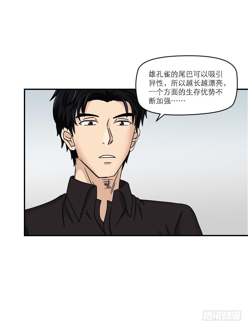 《织梦人》整容时代（7） 第41页
