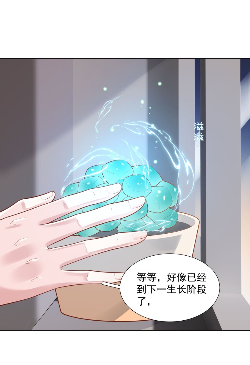 《步天纲》46 一切都完了…… 第13页
