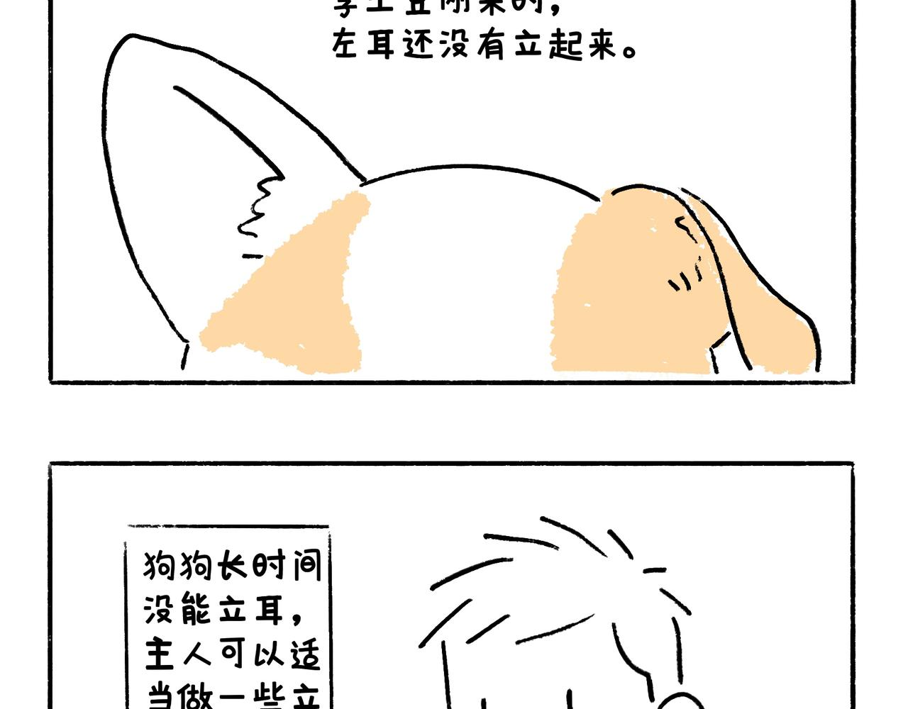 《地呱炒土豆》李土豆！就决定是你了！ 第17页