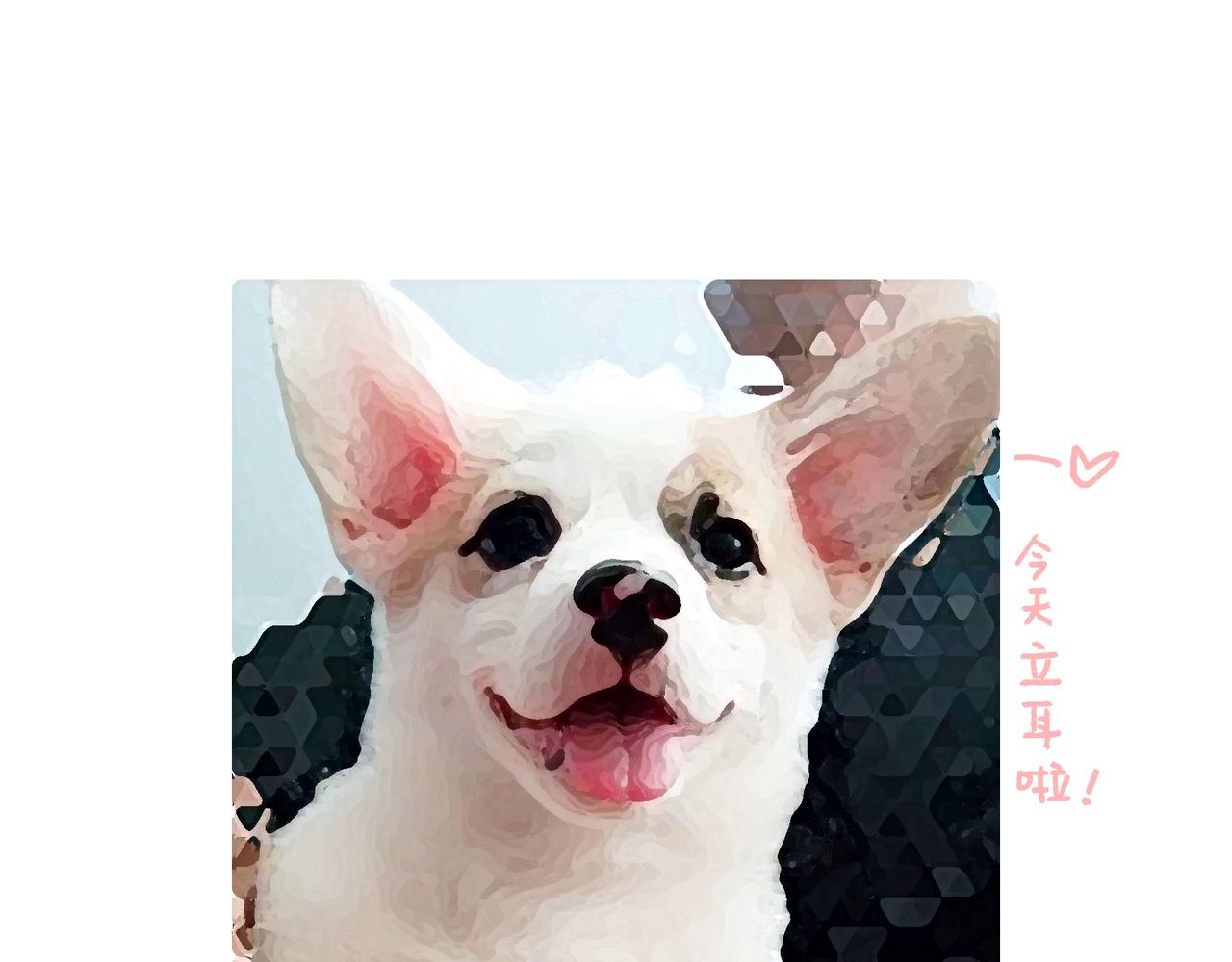 《地呱炒土豆》异味？异样？ 第32页