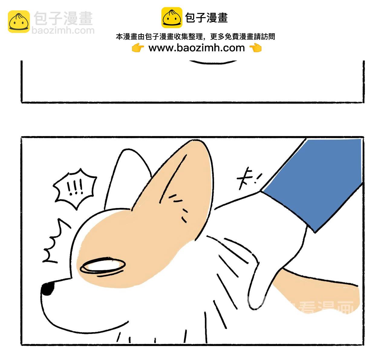 《地呱炒土豆》吹风机，一生之敌 第12页