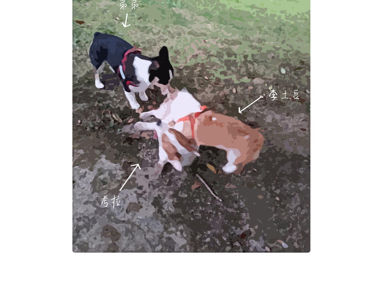 《地呱炒土豆》爱干净才能交到朋友哦 第16页