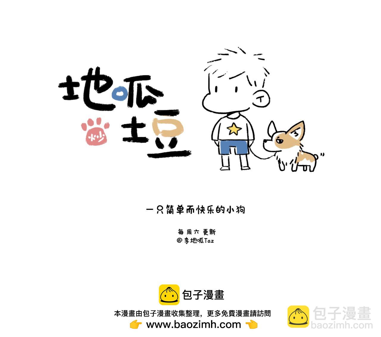 《地呱炒土豆》狗小地位大 第41页