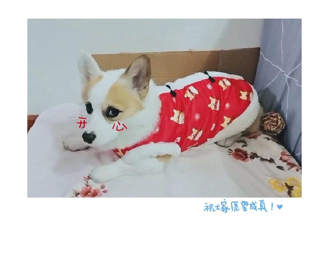 《地呱炒土豆》苏妲基 第30页