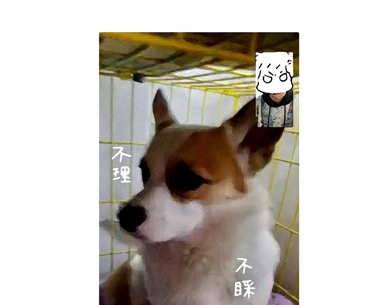 《地呱炒土豆》冷漠与热情 第14页