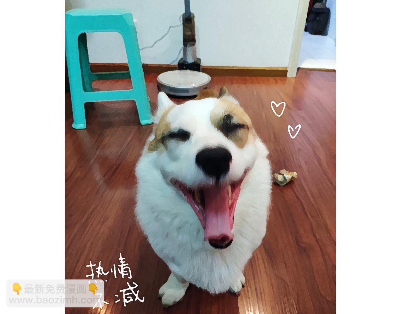 《地呱炒土豆》冷漠与热情 第31页