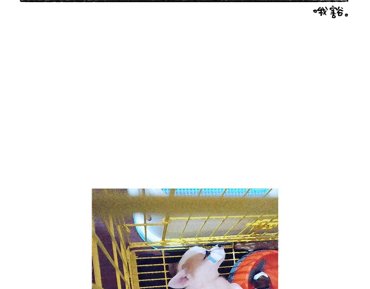 《地呱炒土豆》妈妈的严厉与温柔 第17页