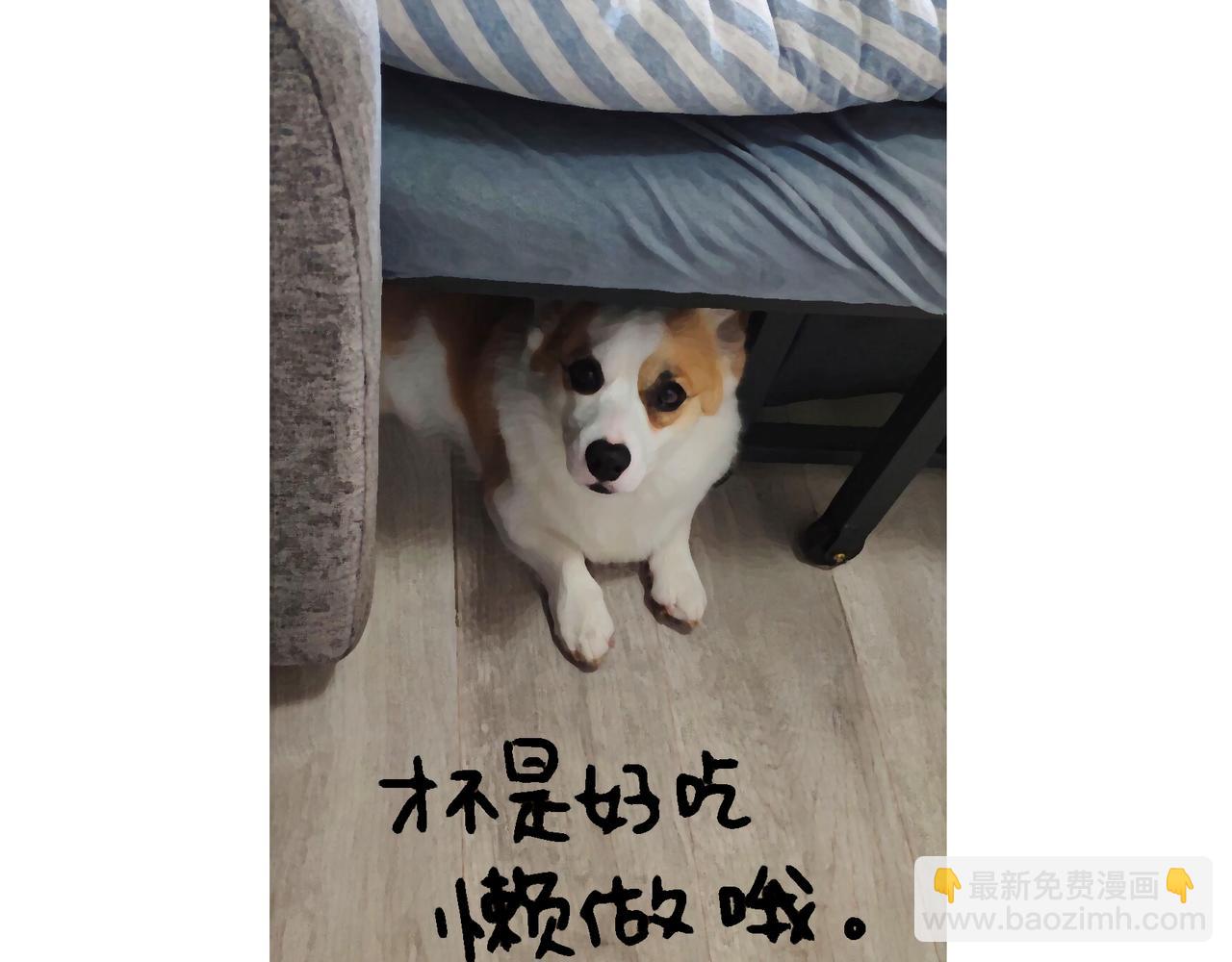 《地呱炒土豆》正确方法&打断 第16页