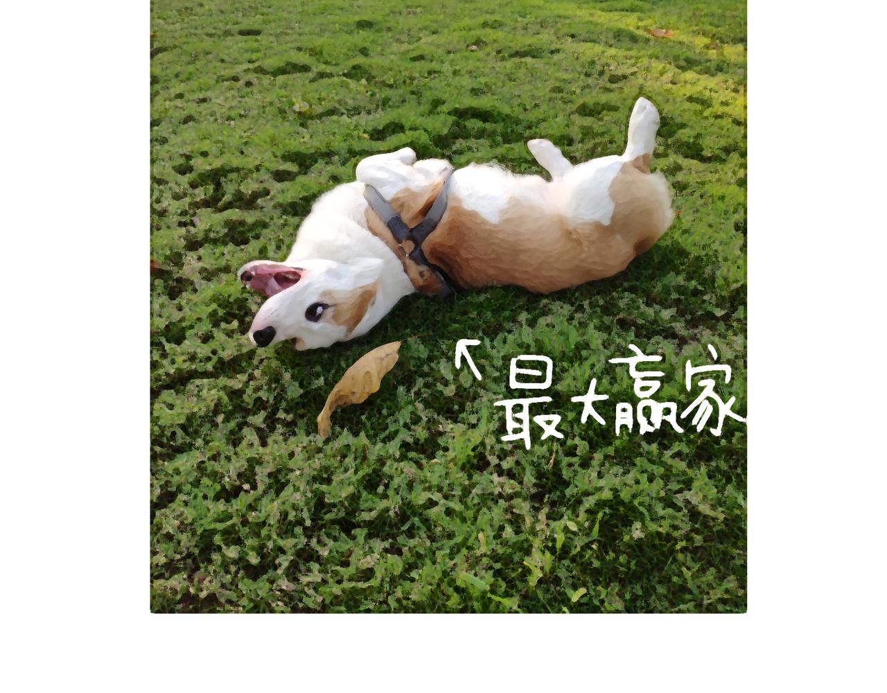《地呱炒土豆》尴尬地呱 第35页