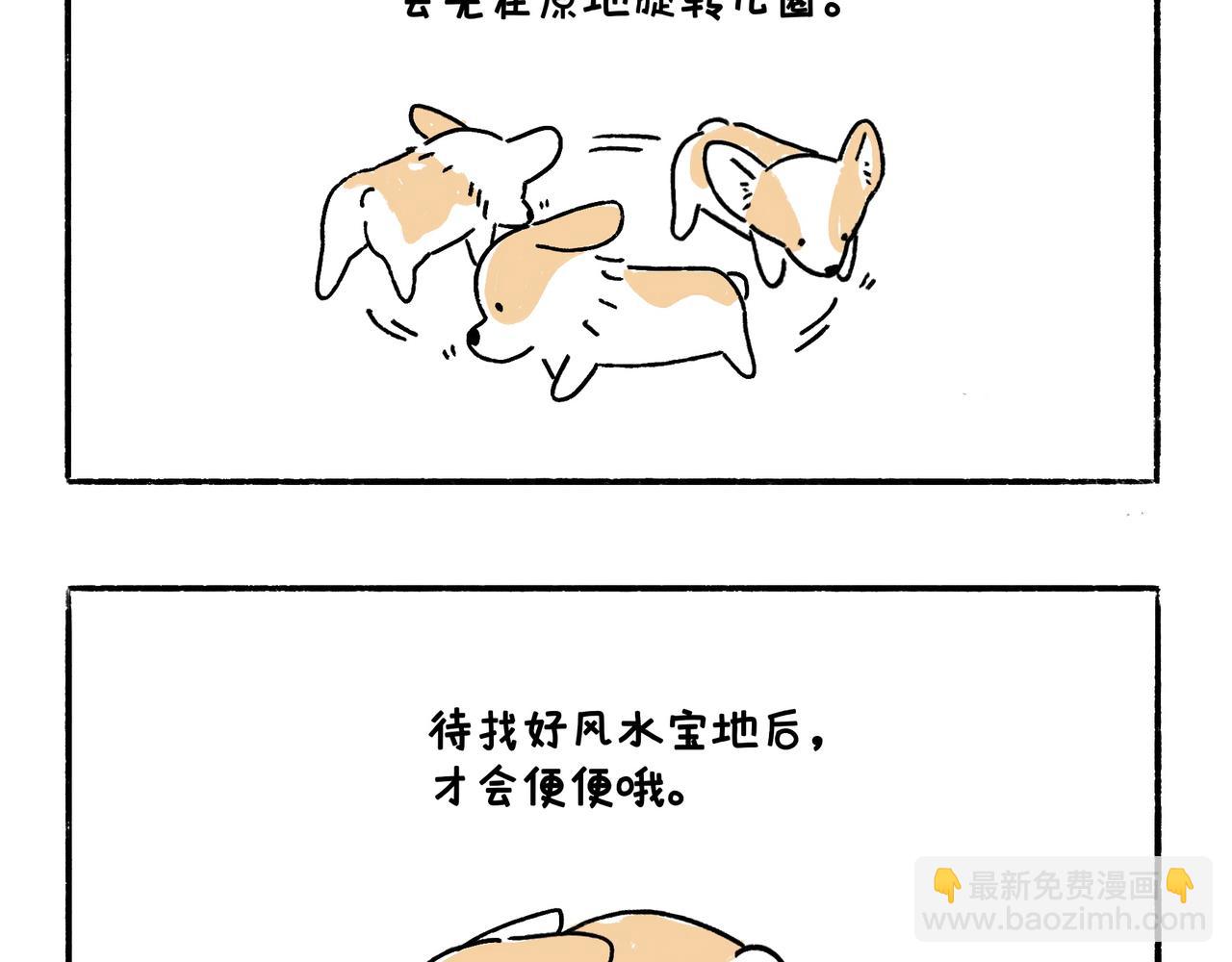 《地呱炒土豆》风水宝地 装死游戏 第3页