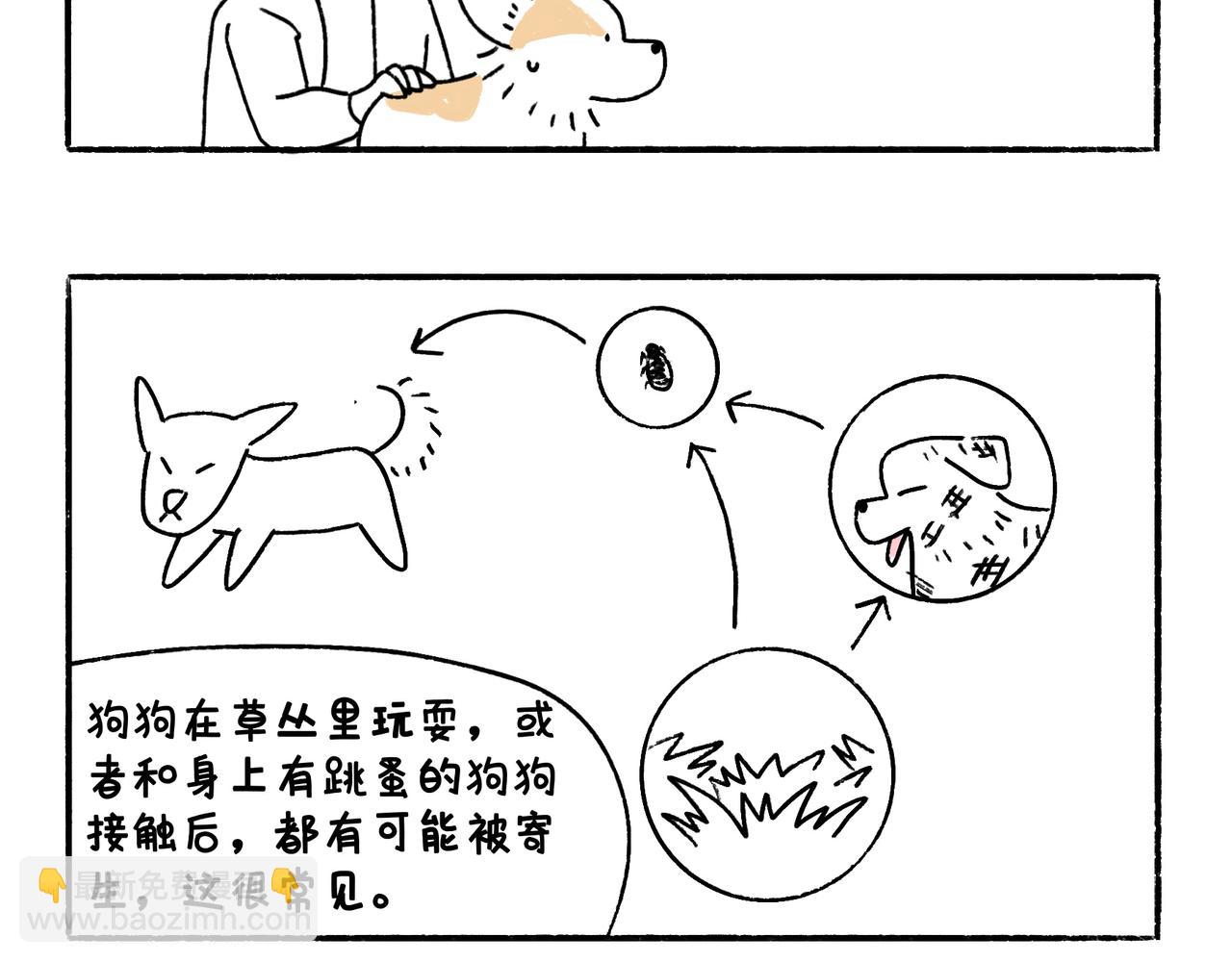 《地呱炒土豆》快乐地呱与干净土豆 第31页