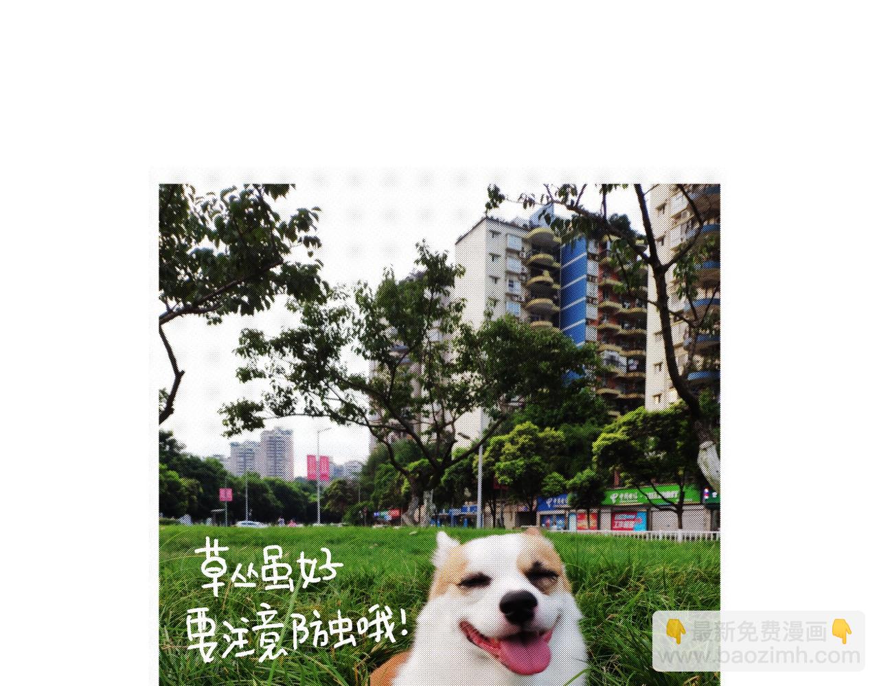 《地呱炒土豆》快乐地呱与干净土豆 第34页