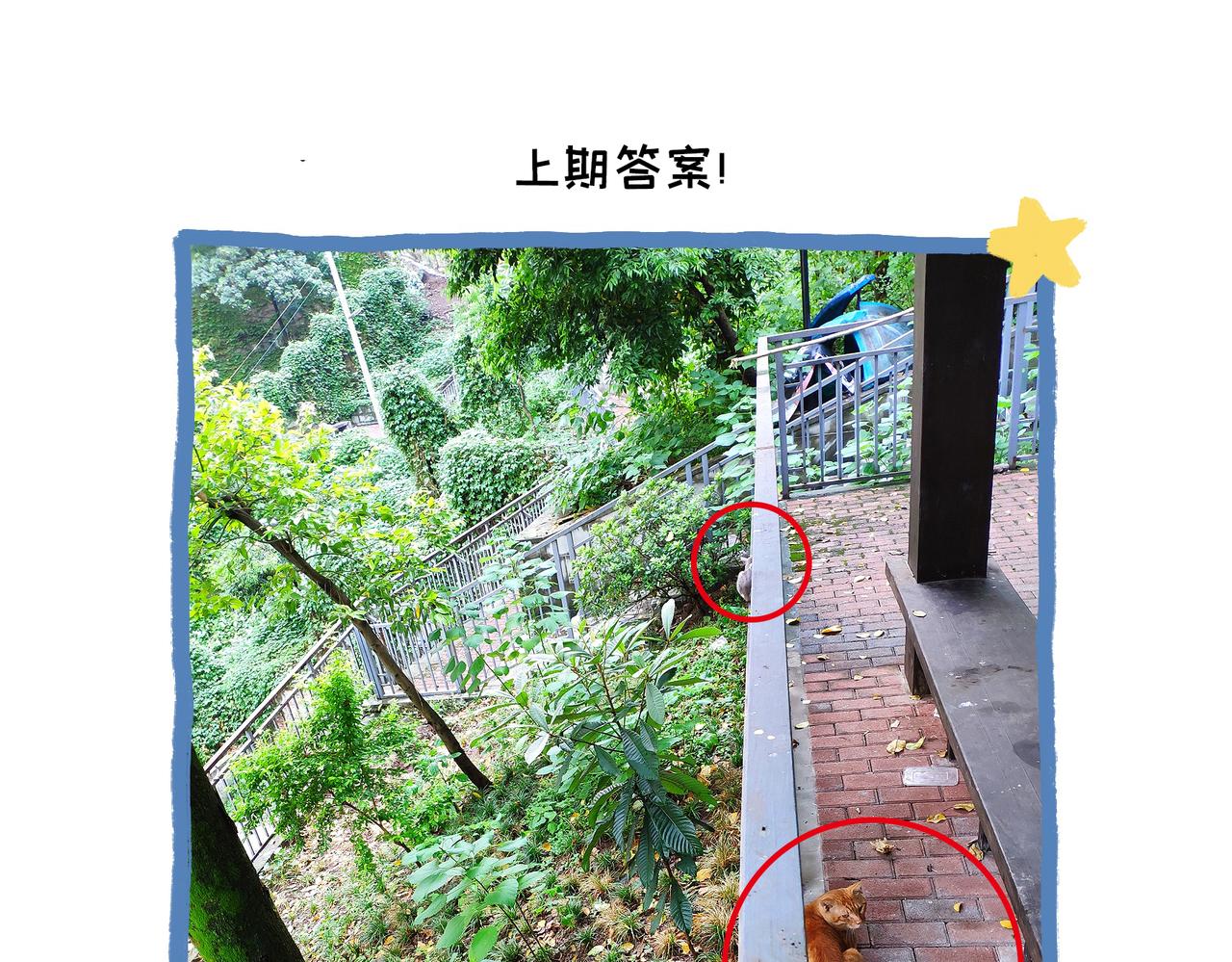 《地呱炒土豆》仪容仪表很重要！ 第40页