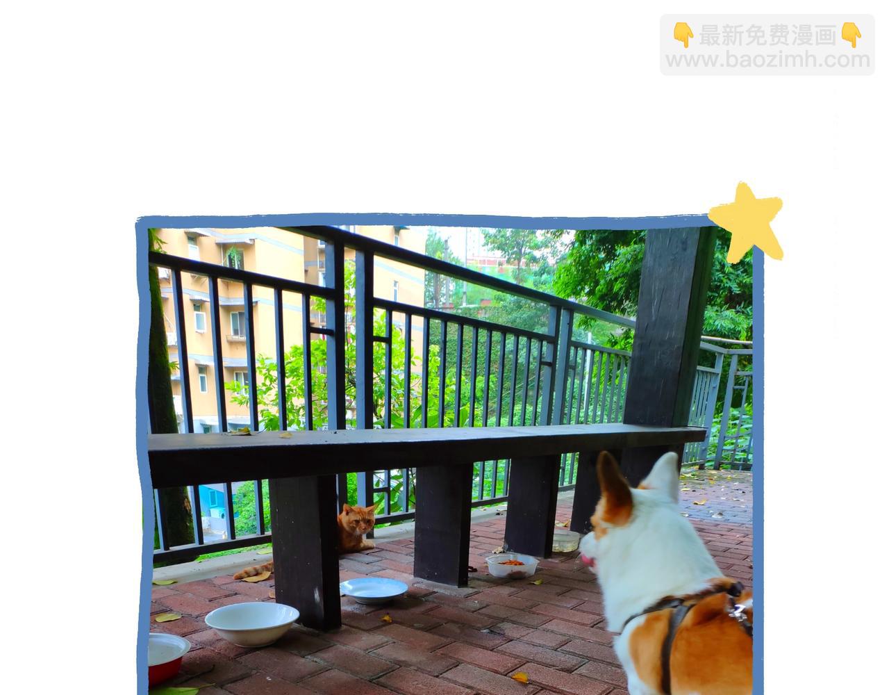 《地呱炒土豆》山城温度，山城道路 第34页