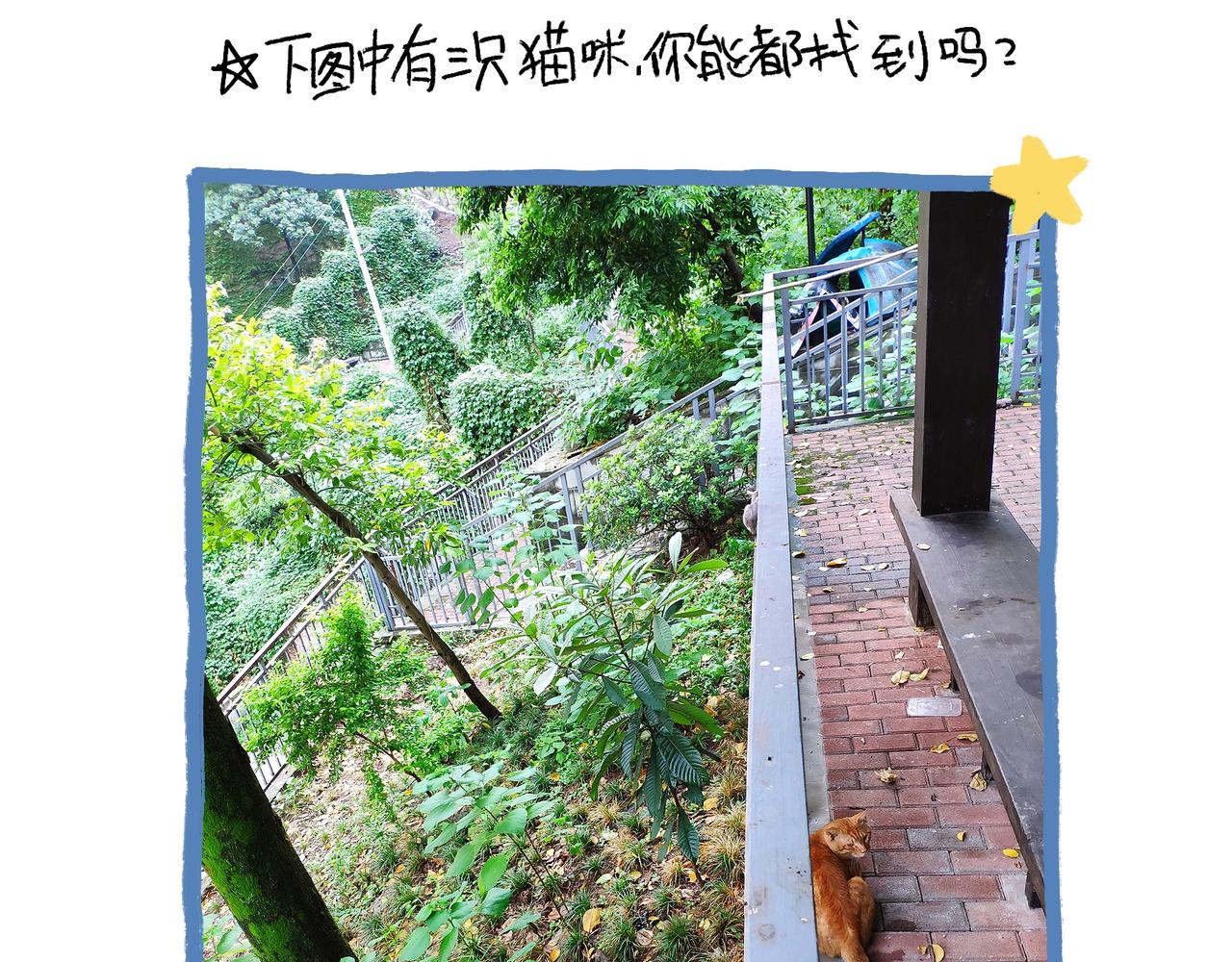 《地呱炒土豆》山城温度，山城道路 第36页